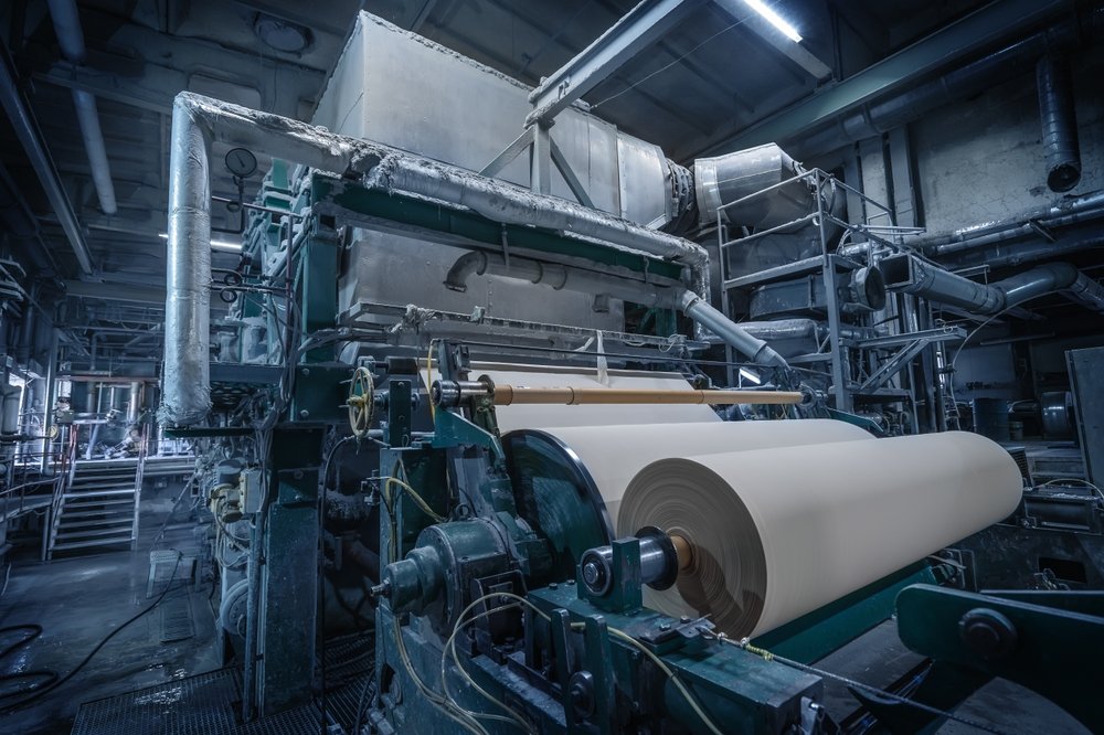 Paper Pulp